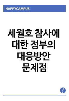 세월호 참사에 대한 정부의 대응반안의 문제