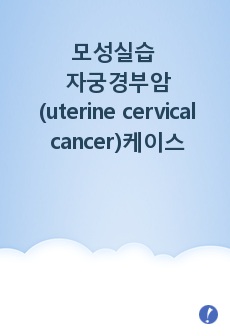 모성실습 자궁경부암(uterine cervical cancer) 간호과정