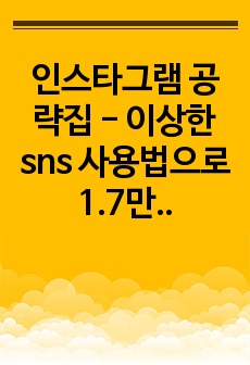 인스타그램 공략집 - 이상한 sns 사용법으로 1.7만 팔로워