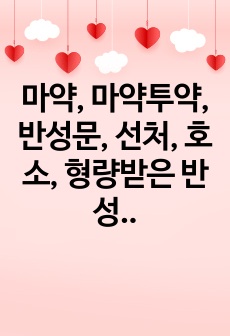 마약, 마약투약, 반성문, 선처, 호소, 형량받은 반성문