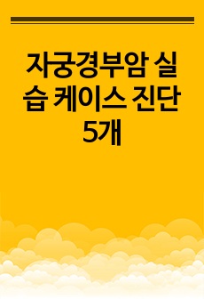 자료 표지