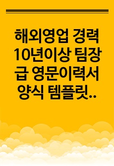 해외영업 경력 10년이상 팀장급 영문이력서 및 경력기술서 겸용양식 템플릿 사용가능