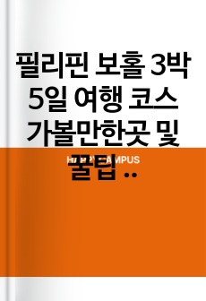 필리핀 보홀 3박 5일 여행 코스 가볼만한곳 및 꿀팁 정보