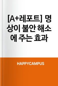 [A+레포트] 명상이 불안 해소에 주는 효과