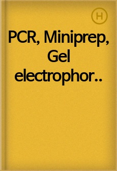PCR, Miniprep, Gel electrophoresis (전기영동) 실험 레포트 (영문)