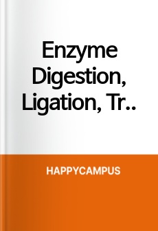 Enzyme Digestion, Ligation, Transformation 실험 레포트 (영문)