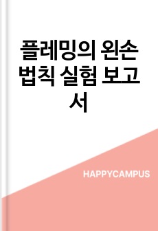 플레밍의 왼손법칙 실험 보고서