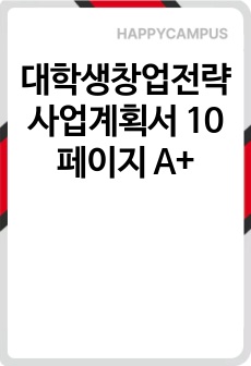 대학생창업전략 사업계획서 10페이지 A+
