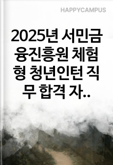 2025년 서민금융진흥원 체험형 청년인턴 직무 합격 자기소개서
